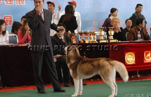 2005�����������׌Ç��H����չ, ROCKY�A��OPEN ��Ȯ�M��܊