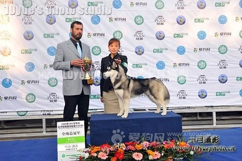 ɽ�|CKU��MAX�@��RBIS��~