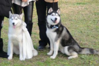 2013��12��20�� ˇ�g�����l�� ���������H֮��ʿ�� ������Ů������